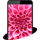 Theme - Spice V801 APK