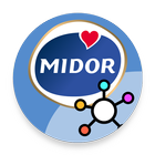 Midor Clever icône