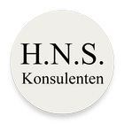 Konsulenten icon