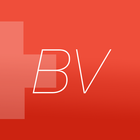 Bundesverfassung BV Schweiz icon