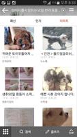 강아지를 사랑하는 모임 - 강사모(다음강사모) Affiche