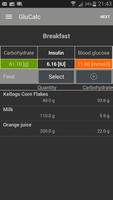 GluCalc تصوير الشاشة 2