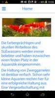 Garnelenwelt im Aquarium 포스터