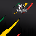 Oberwil Rebells