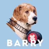 Rescue Barry icône