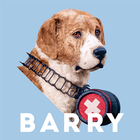 Rescue Barry ไอคอน