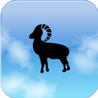 Daily Horoscope icône