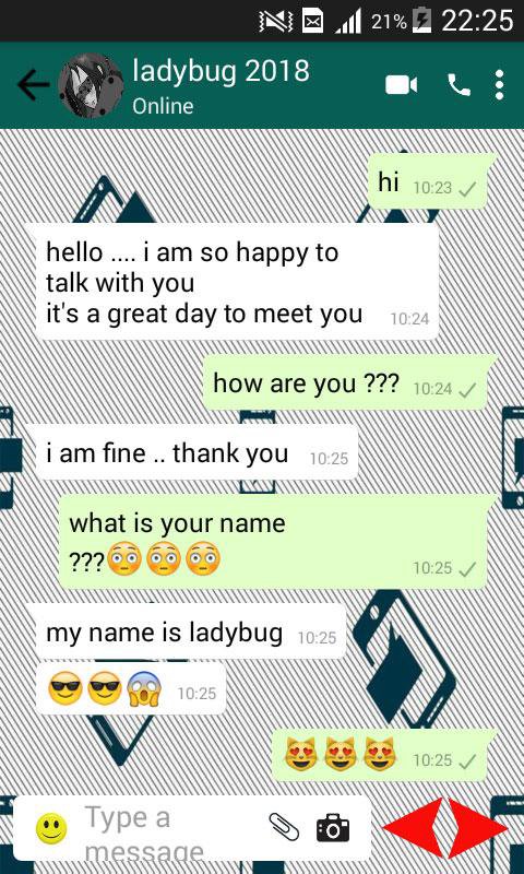 Chat With Ladybug And Cat Noir Online For Android Apk Download