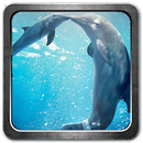 Dolphins 3D Live Wallpaper APK