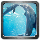 ikon Dolphins 3D Live Wallpaper