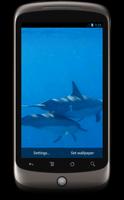 Dolphins 3D Live Wallpaper screenshot 3