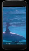 Dolphins 3D Live Wallpaper screenshot 1