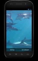 Dolphins 3D Live Wallpaper screenshot 2