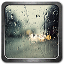 APK Rainy Day Live Wallpaper
