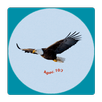Message Song APK
