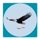 Message Song APK