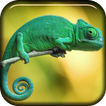 Chameleon Live Wallpaper