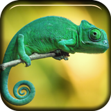 Chameleon Live Wallpaper icône