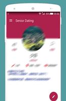 Seniors Dating Elderly Chat โปสเตอร์