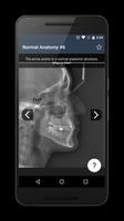 Oral Radiology capture d'écran 3