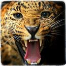 Cheetah Training World APK
