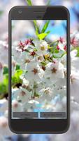 Cherry Blossom Video Theme HD capture d'écran 2
