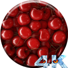 Cherry Live Wallpaper icône