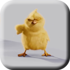 Chickens Live Wallpaper ikona