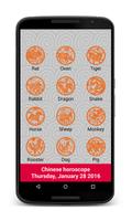 Chinese Horoscope 2021 2022 plakat