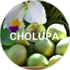 Cholupa APK