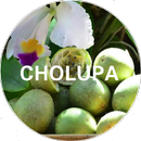Cholupa APK