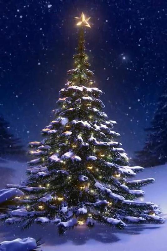 Christmas Tree 3D Wallpaper for Android - APK Download