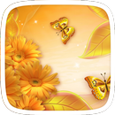 Chrysanthemum Theme APK