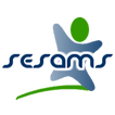 Sesams USSD