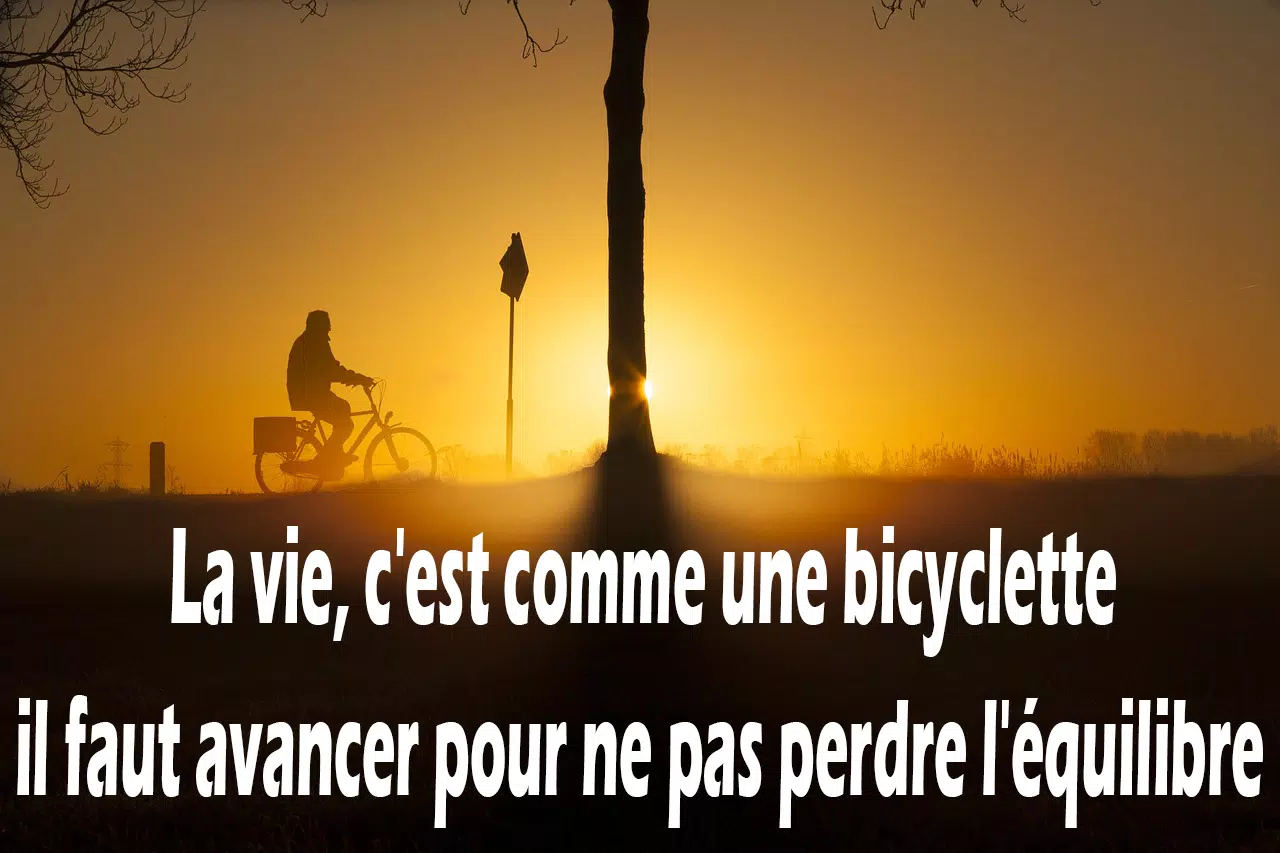 Citations Courtes For Android Apk Download