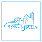 Gostynin icône