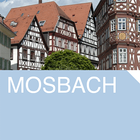 CITYGUIDE Mosbach icône