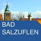CITYGUIDE Bad Salzuflen icône
