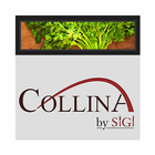 Collina by Sigi ikon
