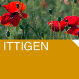 CITYGUIDE Ittigen APK
