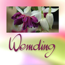 Wemding APK