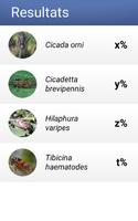 CicadaApp captura de pantalla 2