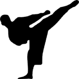 Kyokushin Budo Kai Guide icône