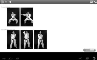Kyokushin Budo Kai Guide screenshot 3