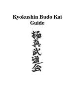 Kyokushin Budo Kai Guide poster