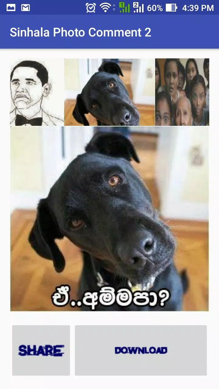 Sinahala FB Funny Comments 2 APK pour Android Télécharger Sinahala FB Funny Comments 2 APK pour Android Télécharger