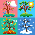 Seasons