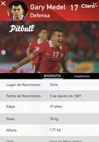 Claro Copa América screenshot 3