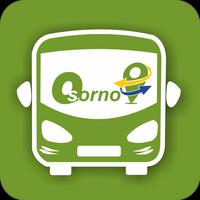 پوستر Terminal de Buses Osorno