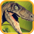 Raptor War